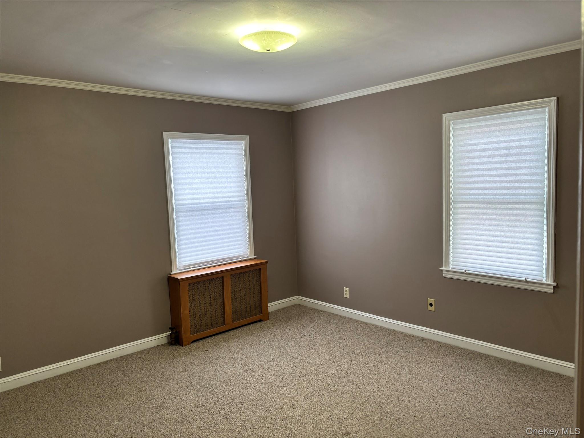 #10 photo, 1041 Mosefan Street, Franklin Square , NY 11010