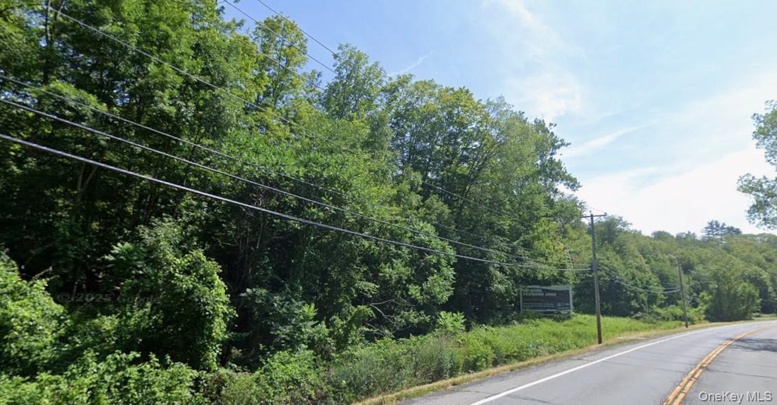#1 photo, Briggs Hwy, Ellenville , NY 12428