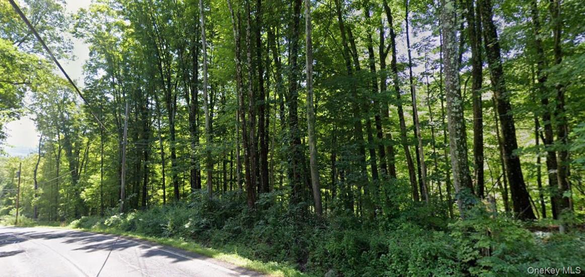 #2 photo, Briggs Hwy, Ellenville , NY 12428