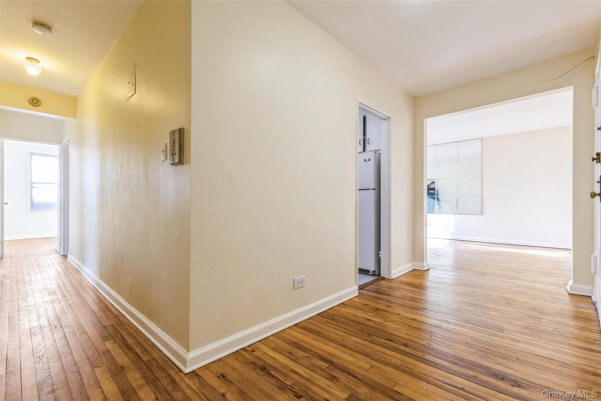 #11 photo, 223 Brigham Street, הברונקס Brooklyn , NY 11229