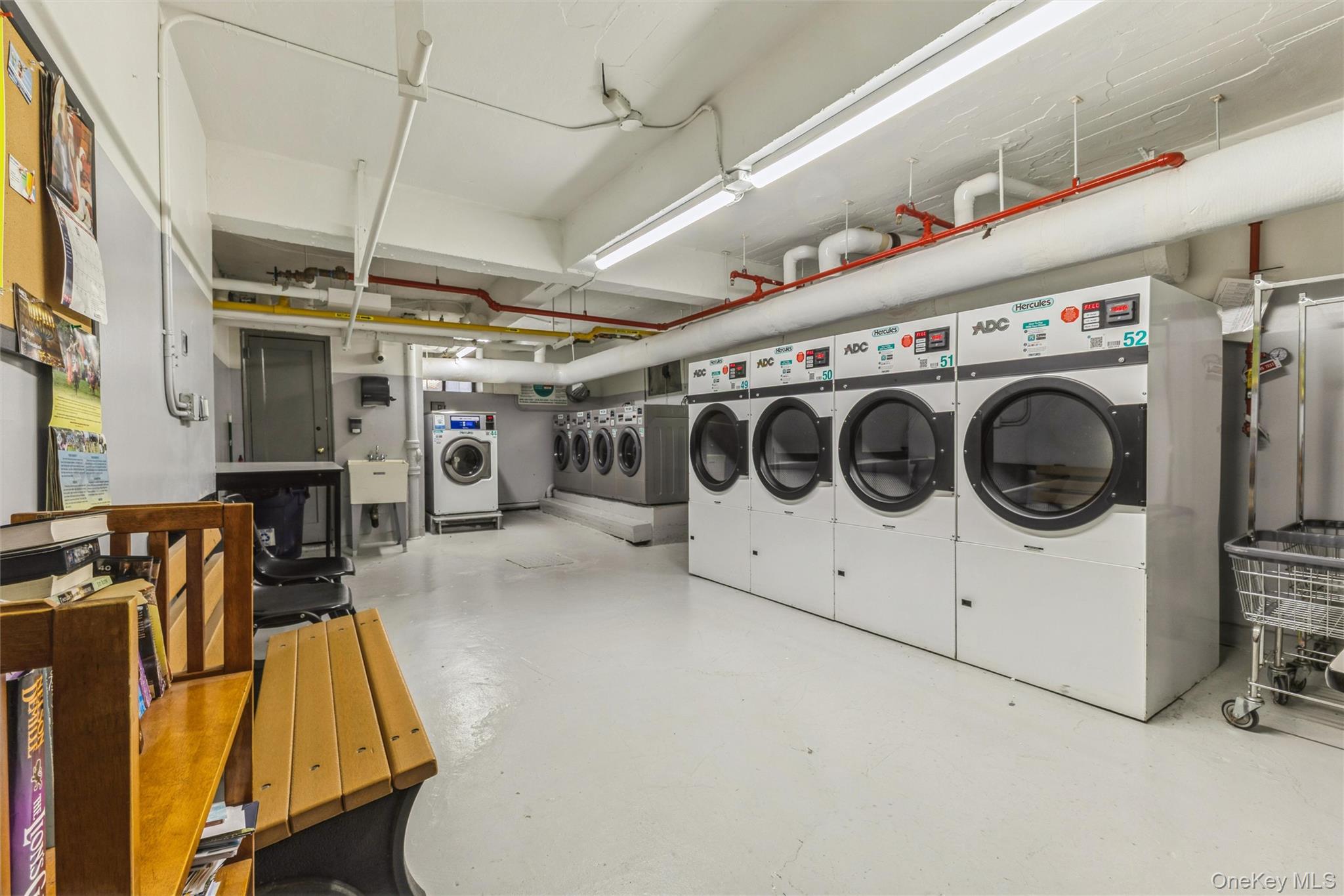 #16 photo, 223 Brigham Street, הברונקס Brooklyn , NY 11229