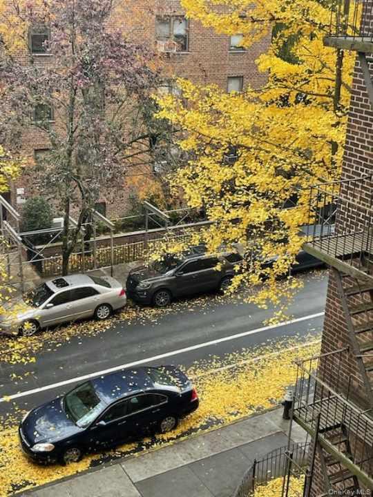 #17 photo, 32-42 91st Street, Jackson Heights , NY 11369