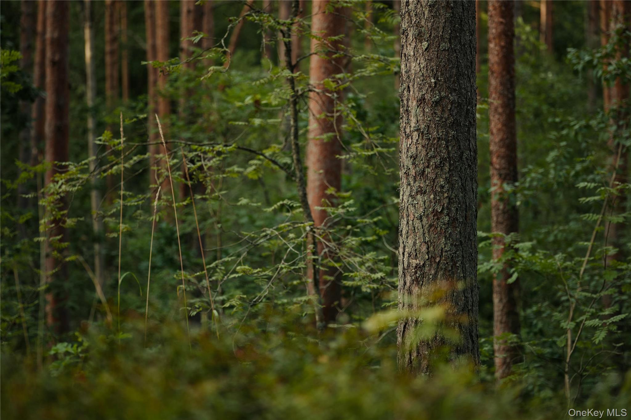 #1 photo, Melzingah Rsvr Road, Beacon , NY 12508