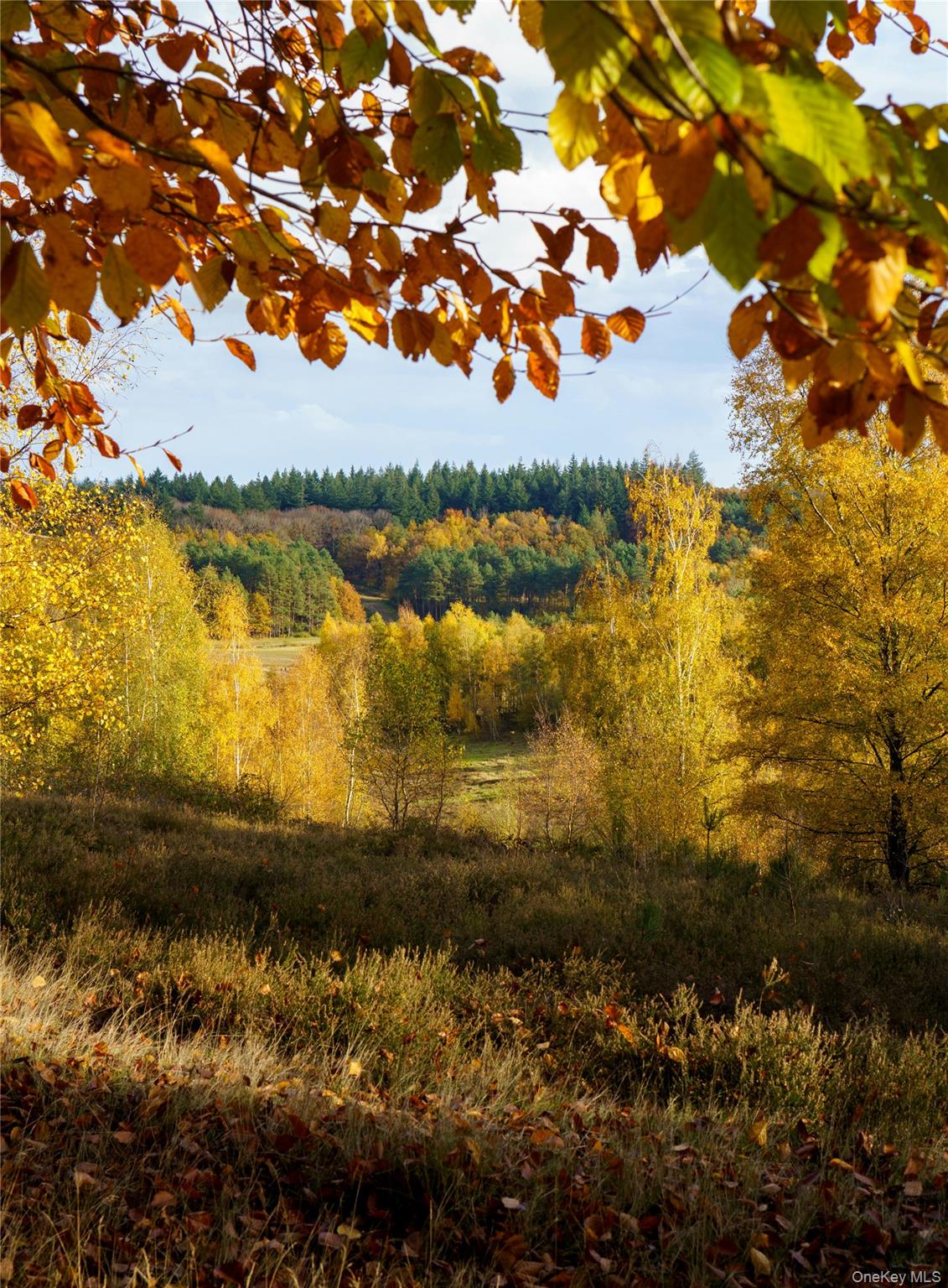 #1 photo, 10 Hideaway Place, Beacon , NY 12508