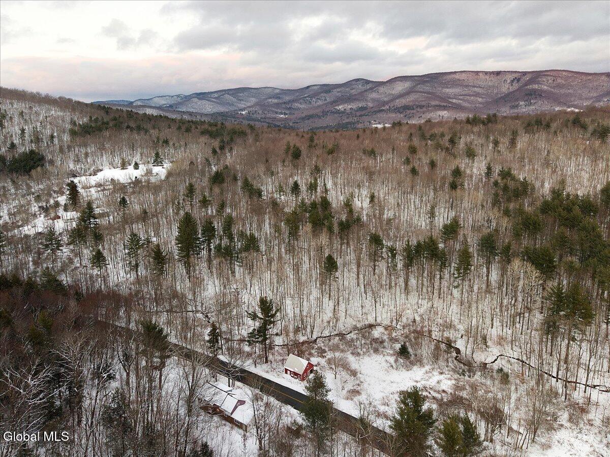 #21 photo, 367 Jones Hollow Road, Petersburgh , NY 12138