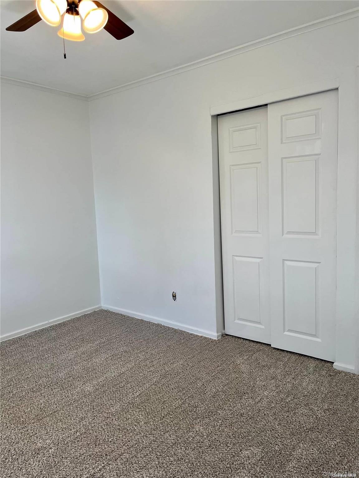 #9 photo, 226 Tree Road, Centereach , NY 11720