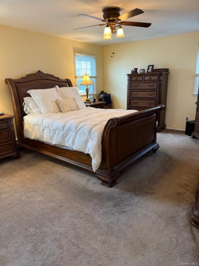 #8 photo, 90 Pacific Street, Нассау ‖ Massapequa Park , NY 11762