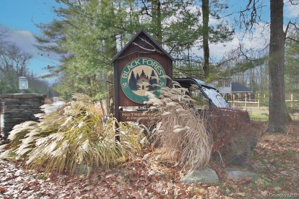 #17 photo, 134 Black Forest Road, Glen Spey , NY 12737