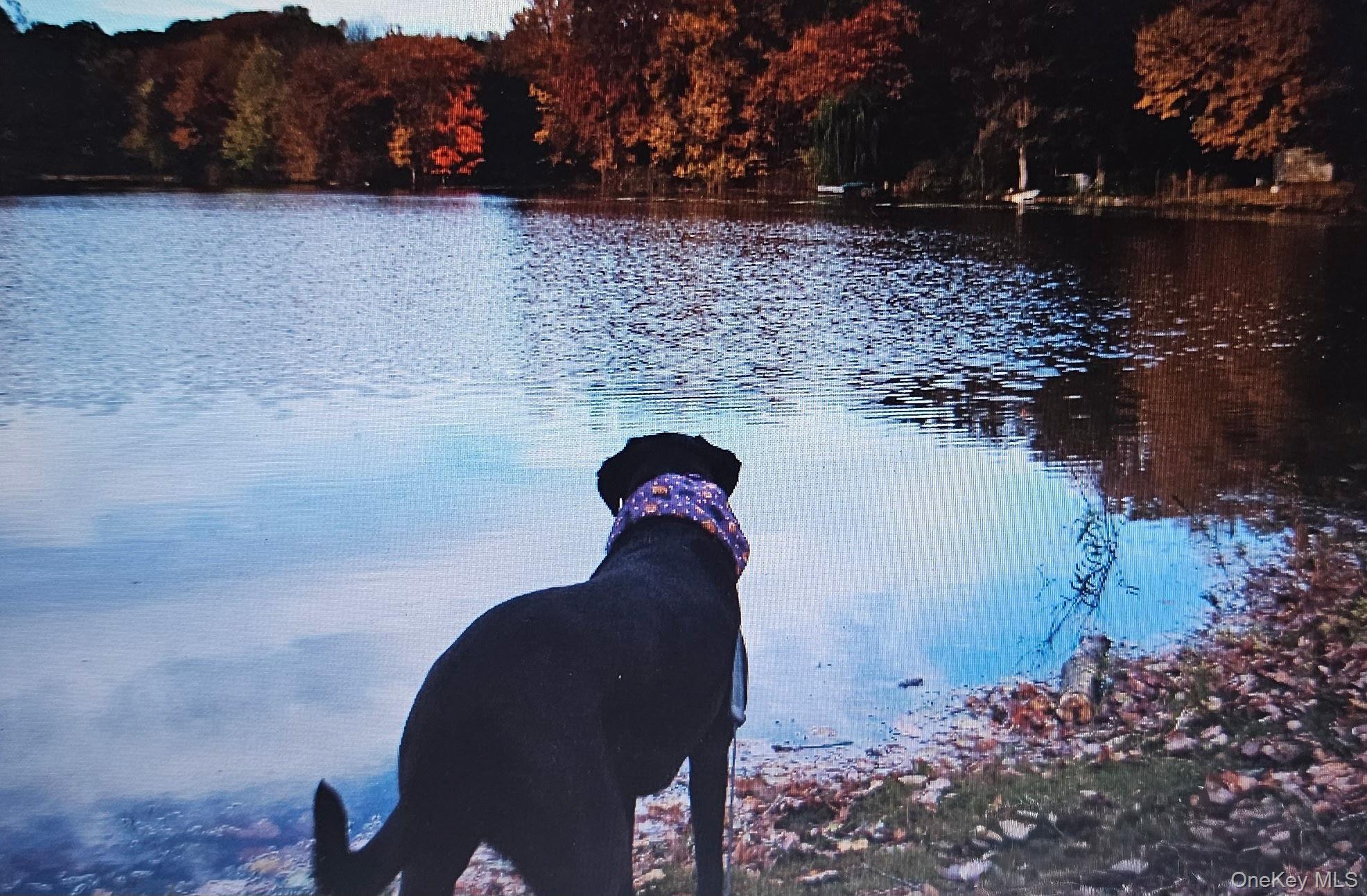 #15 photo, 70 Kent Shore Drive, 纽约州 Carmel , NY 10512