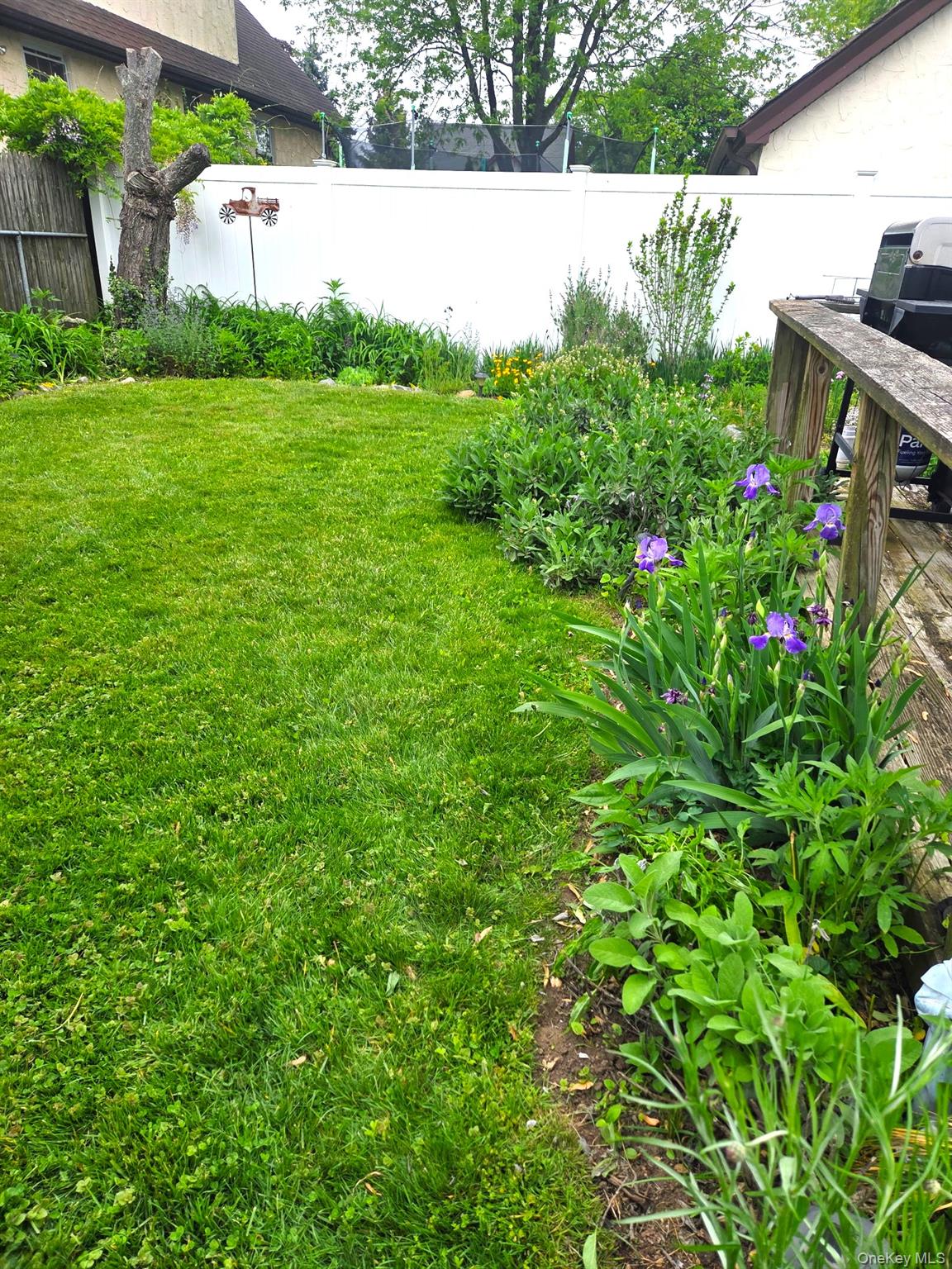 #5 photo, 80 Dobson Avenue, 长岛 Merrick , NY 11566