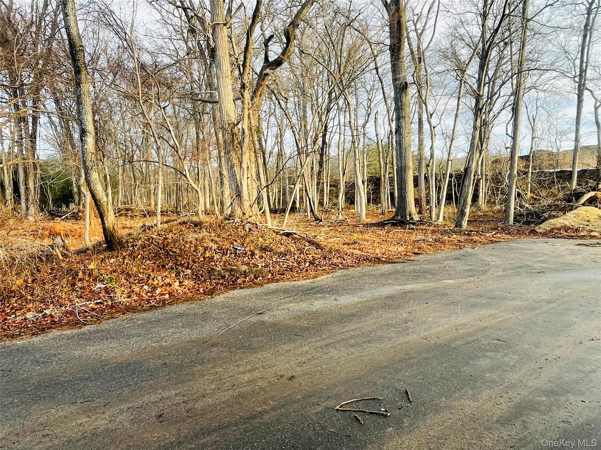 #3 photo, VL Daniel Lane, Middle Island , NY 11953