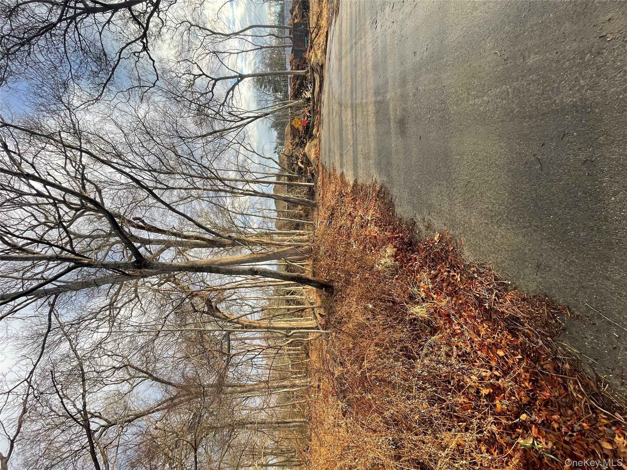 #4 photo, VL Daniel Lane, Middle Island , NY 11953