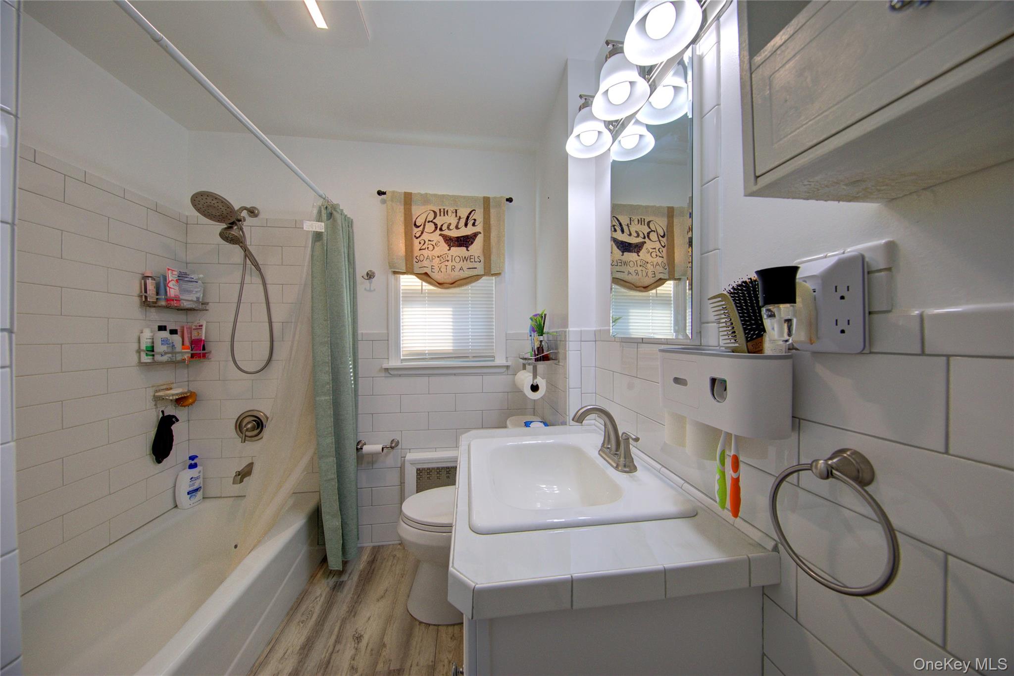 #13 photo, 309 Litchfield Avenue, Elmont , NY 11003