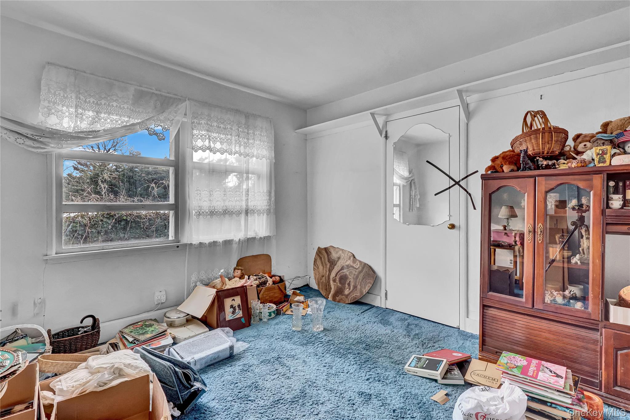 #19 photo, 24 Piermont Court, 東長島 梅尔维尔 Melville , NY 11747