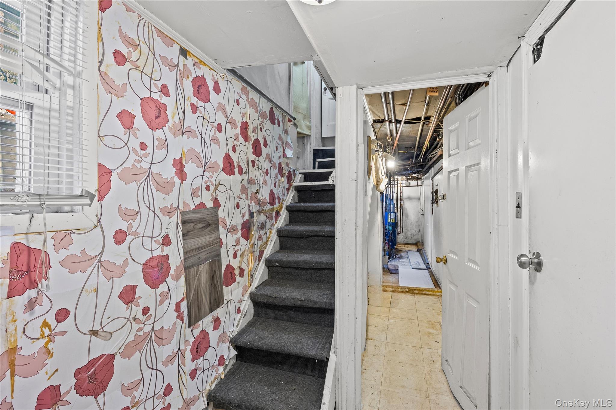 #17 photo, 5717 Waldron Street, Corona , NY 11368