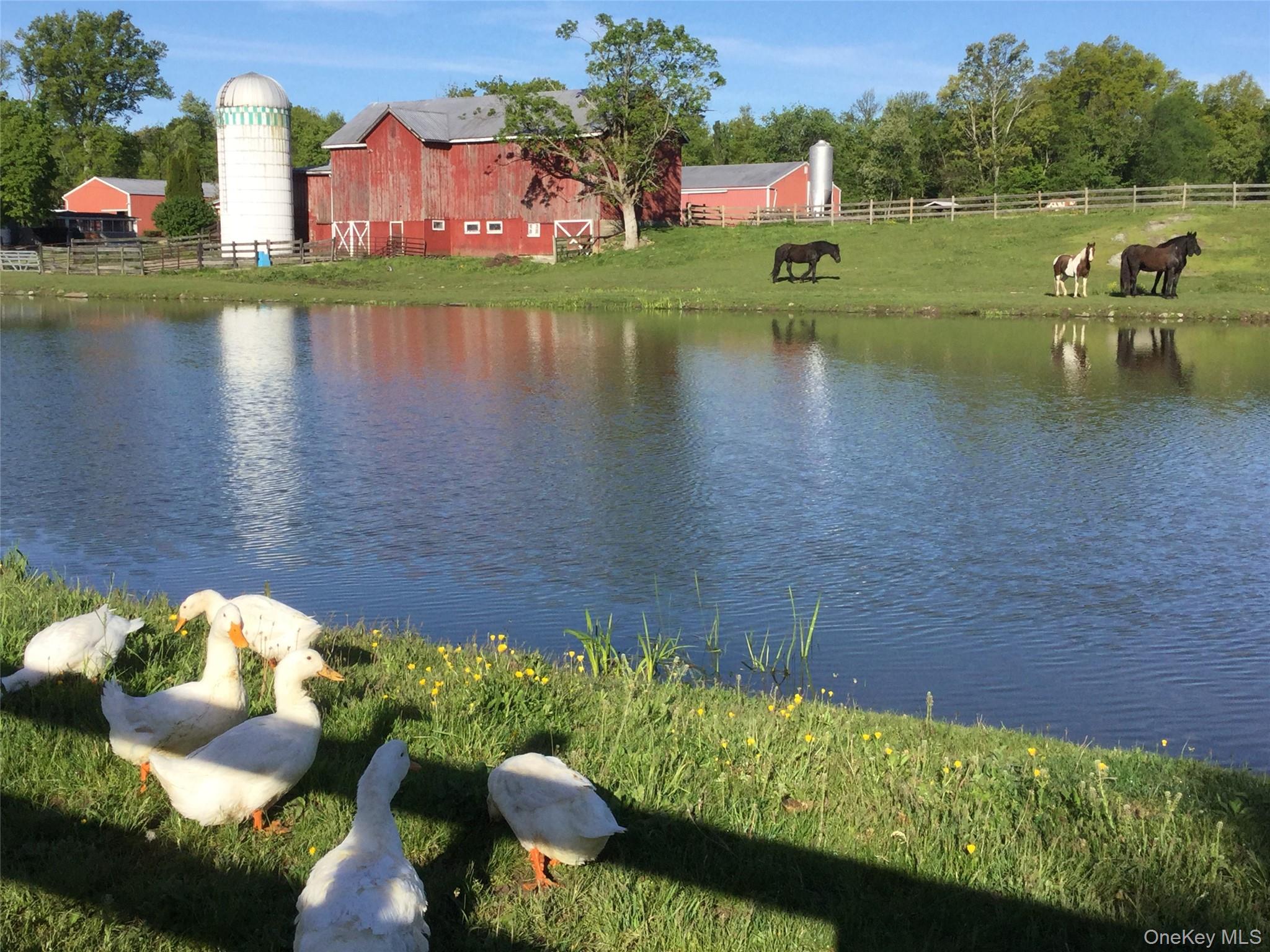 #10 photo, 53 Day Road, Campbell Hall , NY 10916