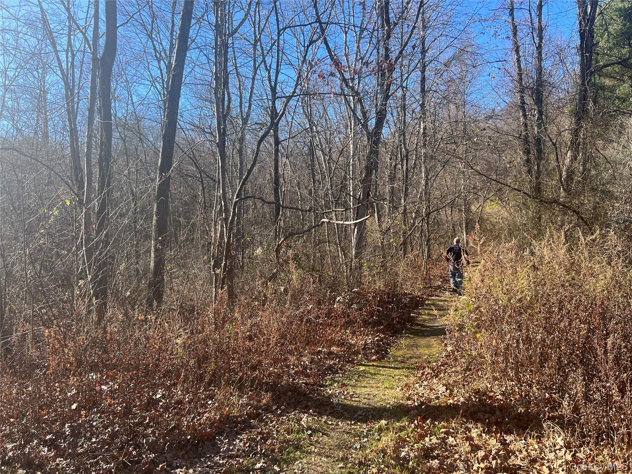 #1 photo, Moon Road, Putnam Valley , NY 10579