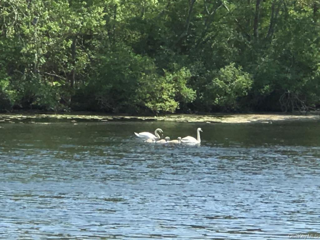 #19 photo, 1375 W Main Street, 롱 아일랜드 Riverhead , NY 11901