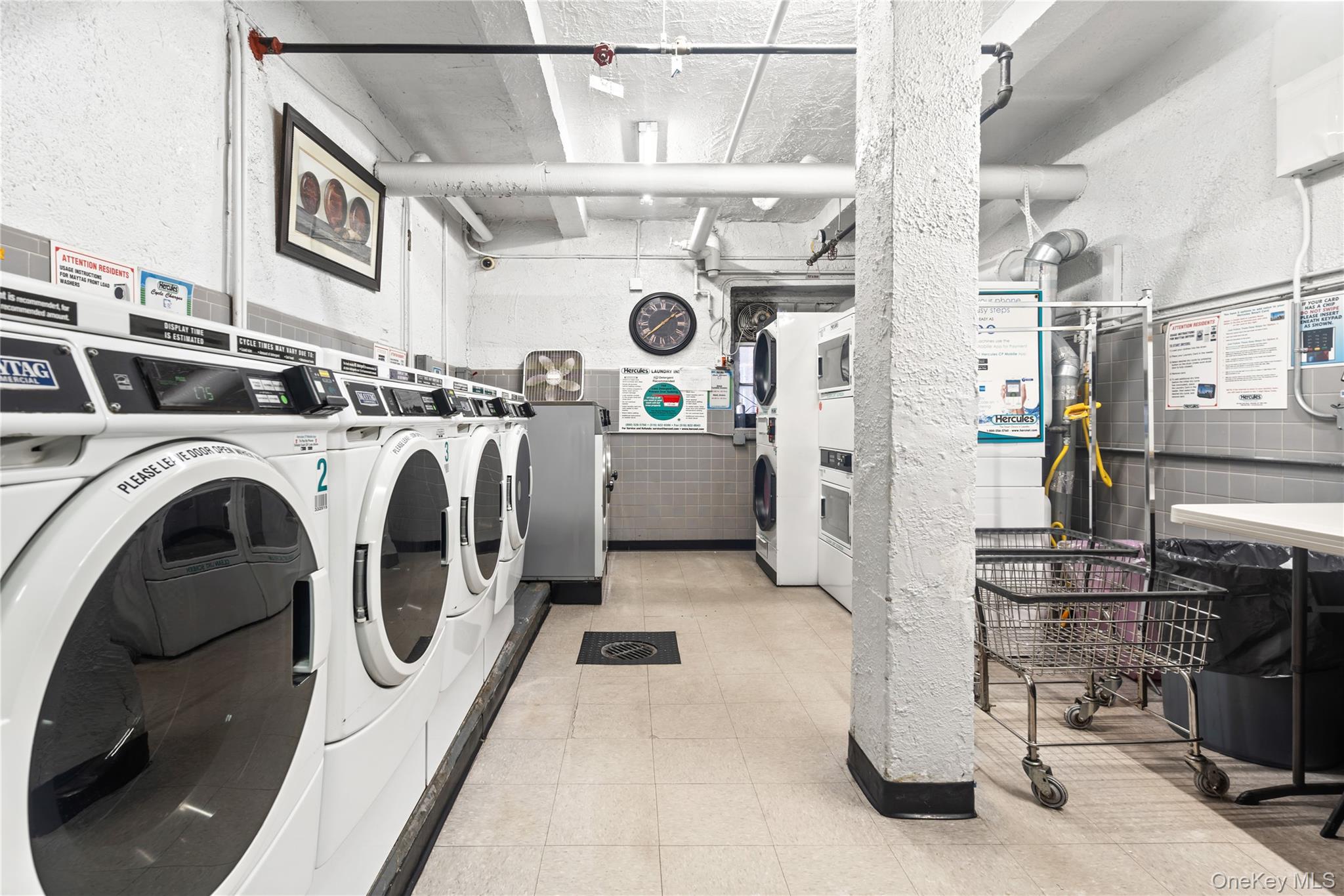 #16 photo, 67-41 Burns Street, קווינס Forest Hills , NY 11375