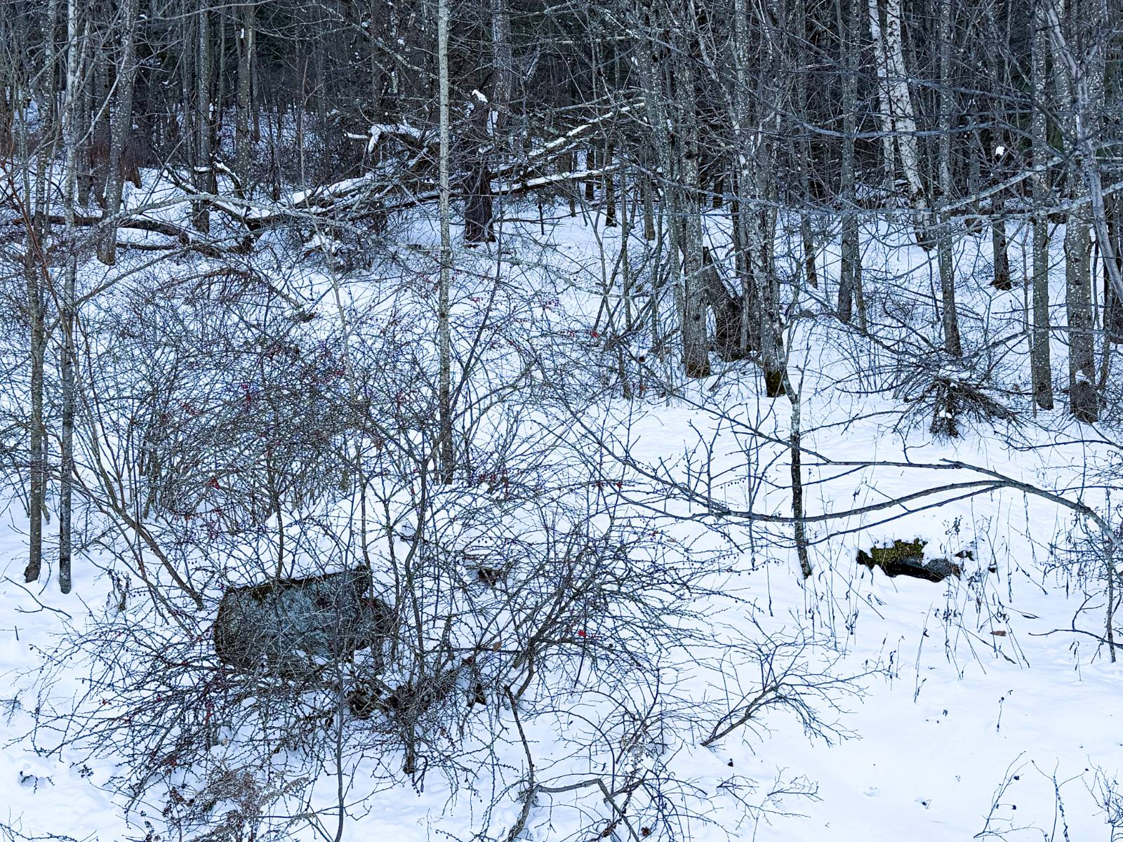 #4 photo, L45.11 Panarama Ln, Windham , NY 12496