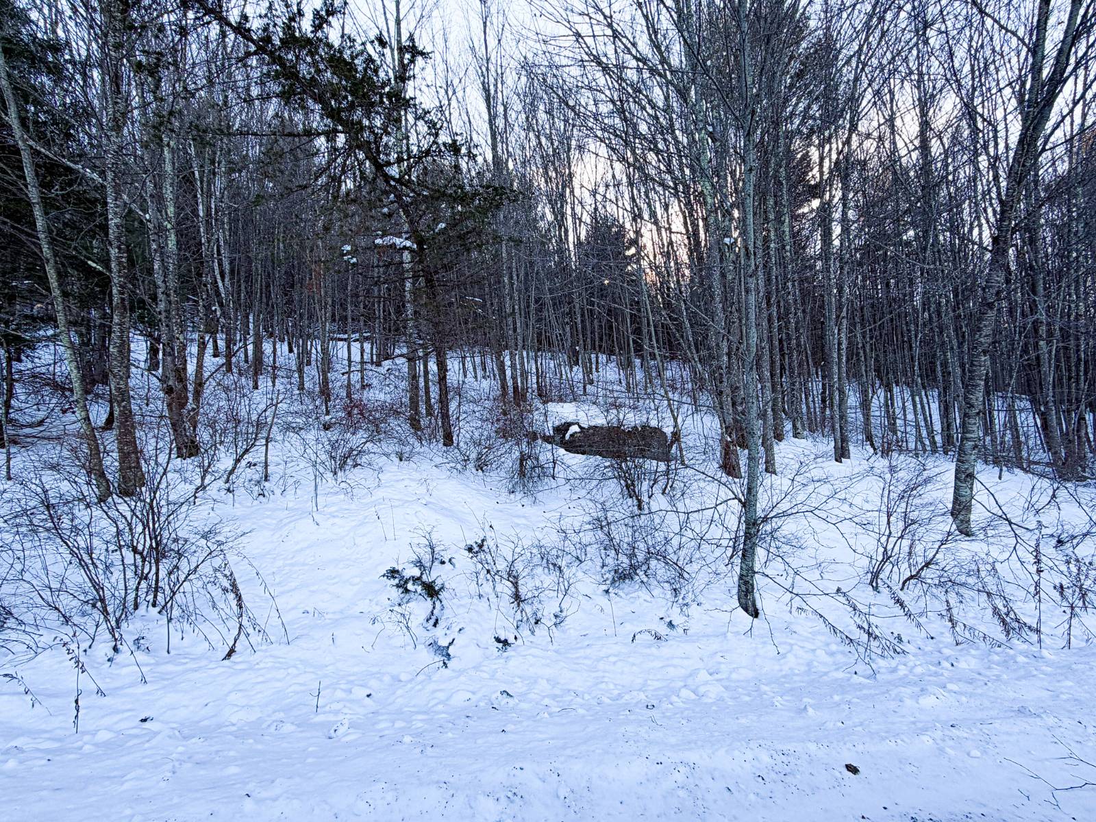 #4 photo, L46.111 Panarama Ln, Windham , NY 12496