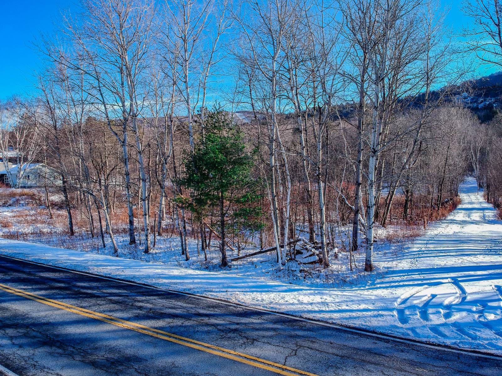 #11 photo, L19.11 South St, Windham , NY 12496