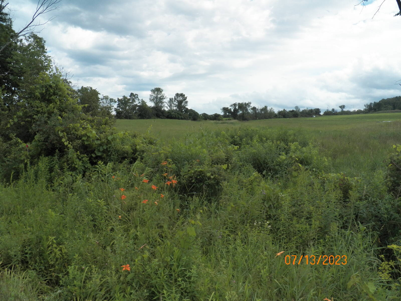 #2 photo, 00 Darrow Road, Sprakers , NY 12166