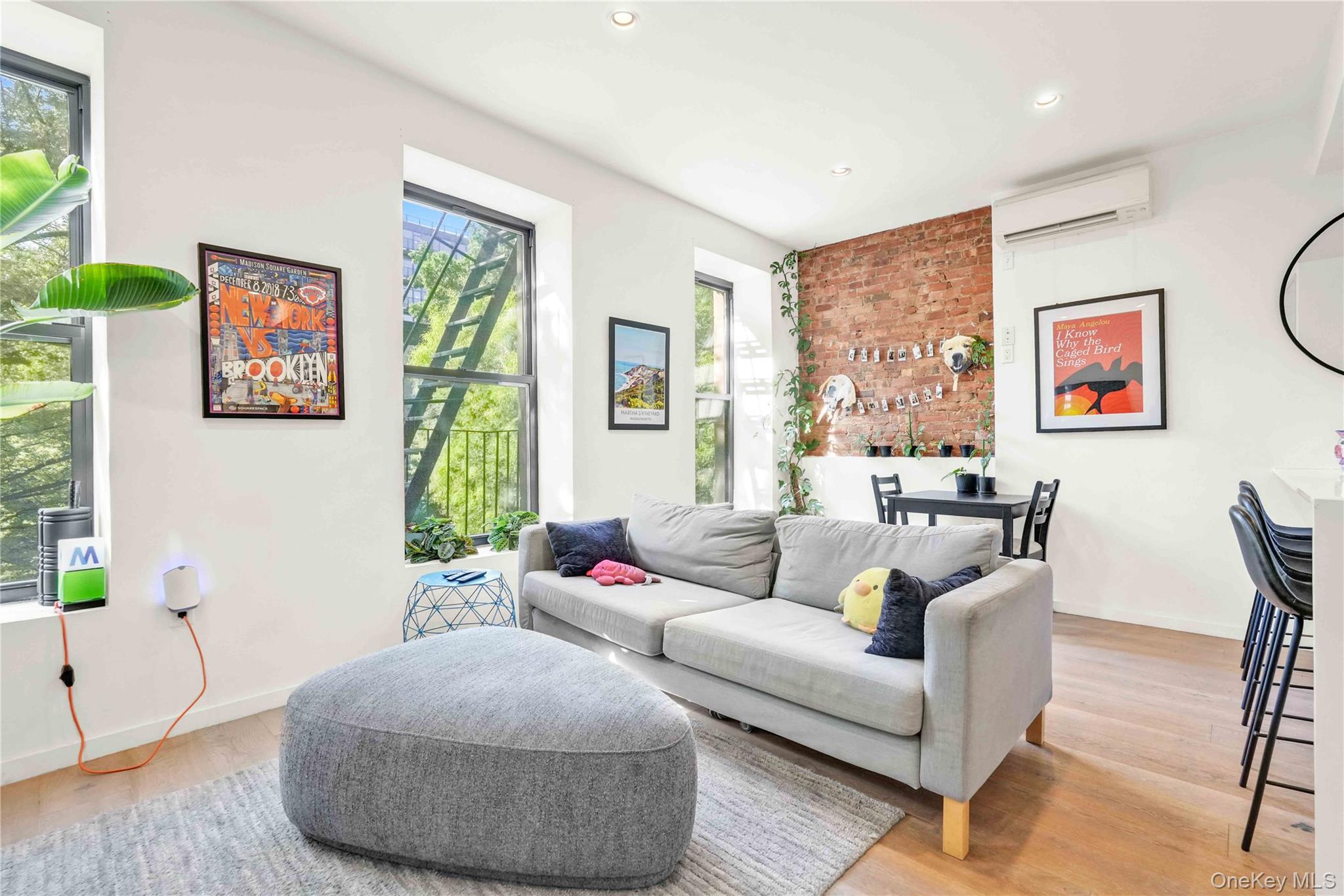 #8 photo, 43 Halsey Street, Brooklyn , NY 11216