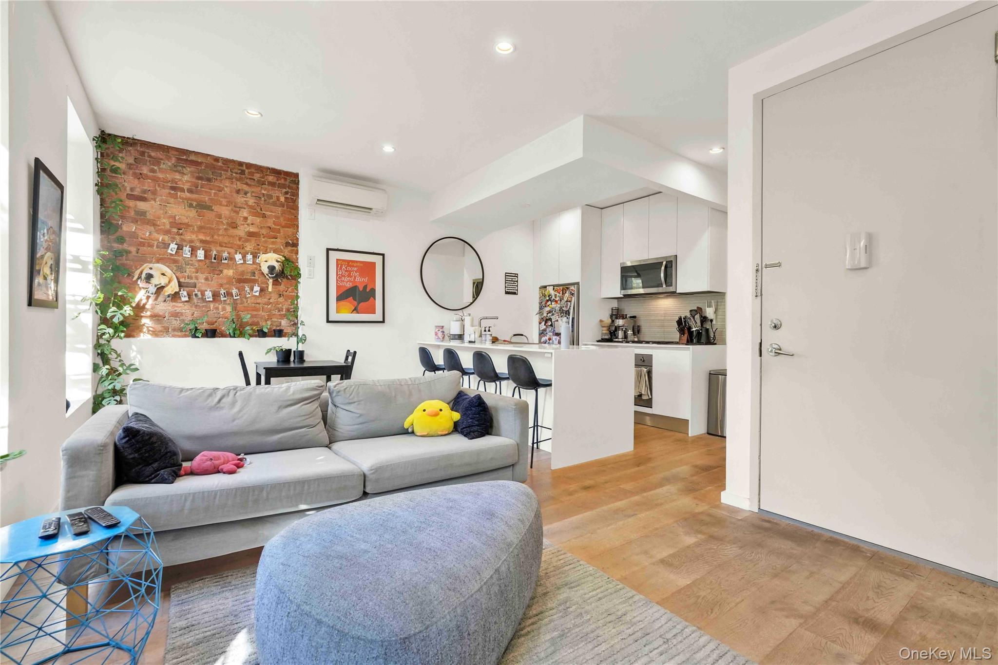 #9 photo, 43 Halsey Street, Brooklyn , NY 11216