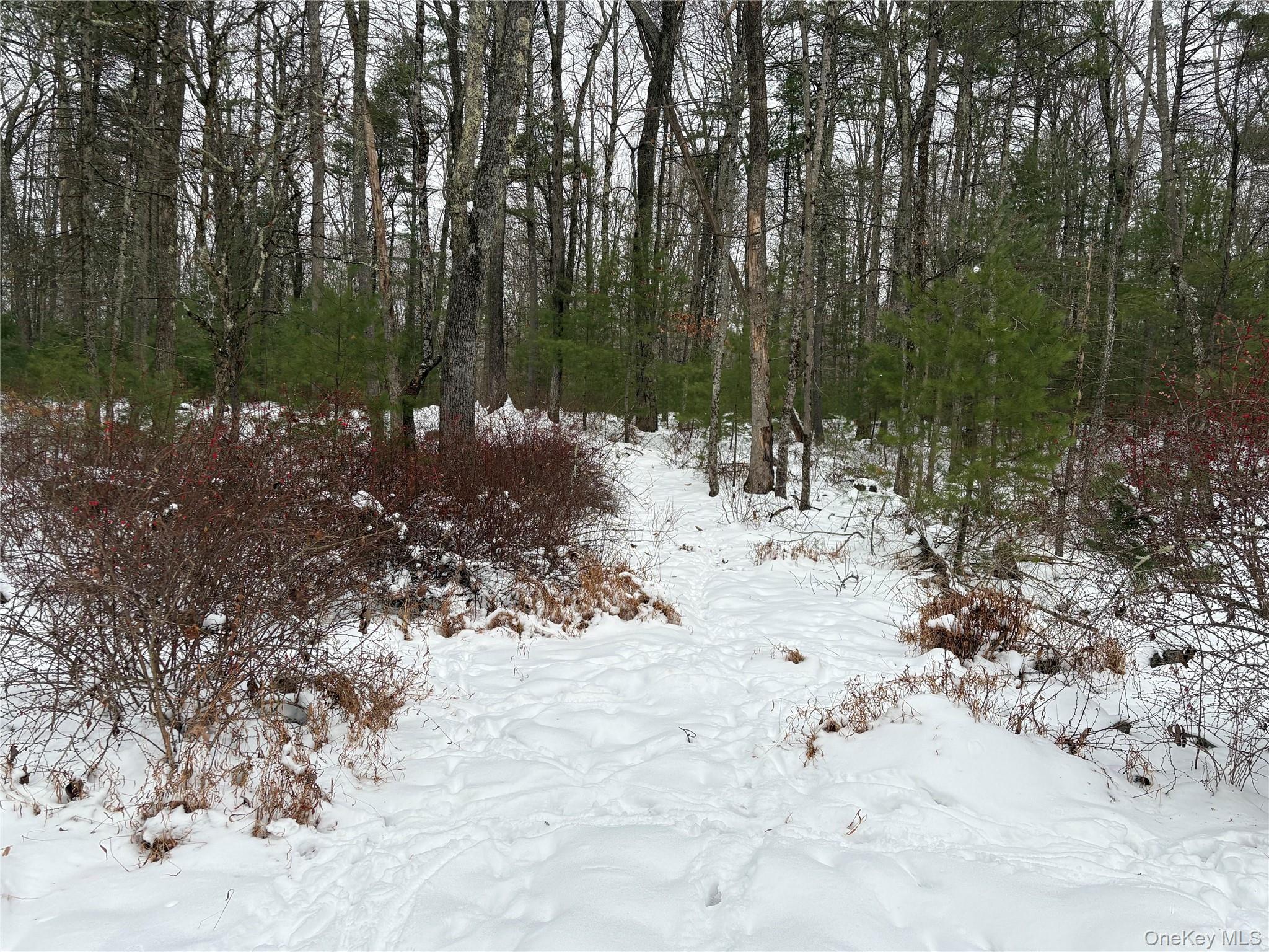 #1 photo, Stege Road, Eldred , NY 12743