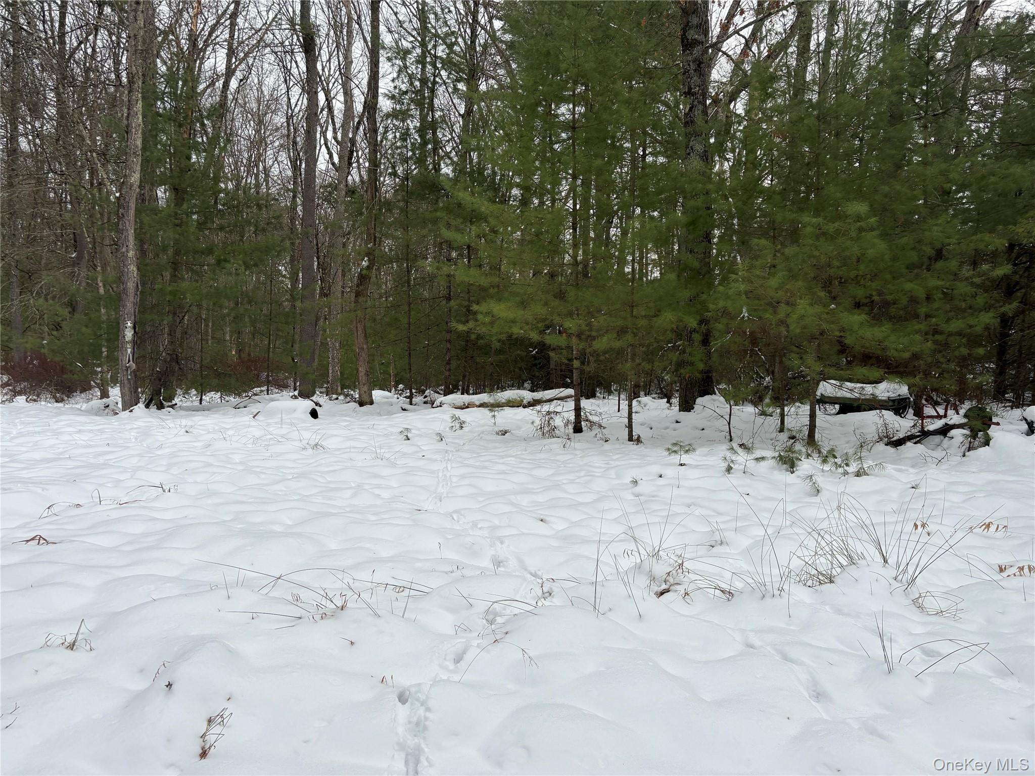 #2 photo, Stege Road, Eldred , NY 12743