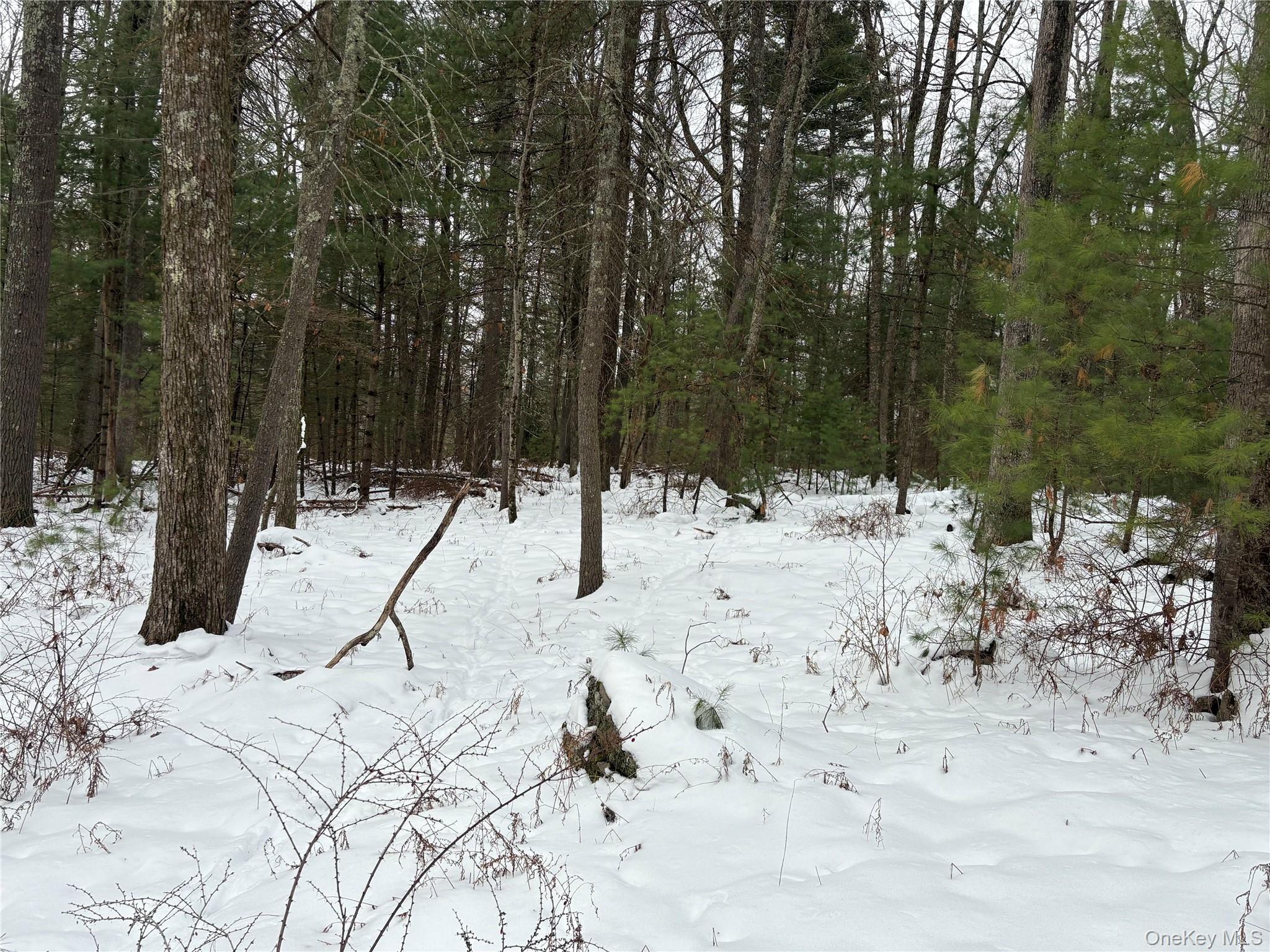 #3 photo, Stege Road, Eldred , NY 12743