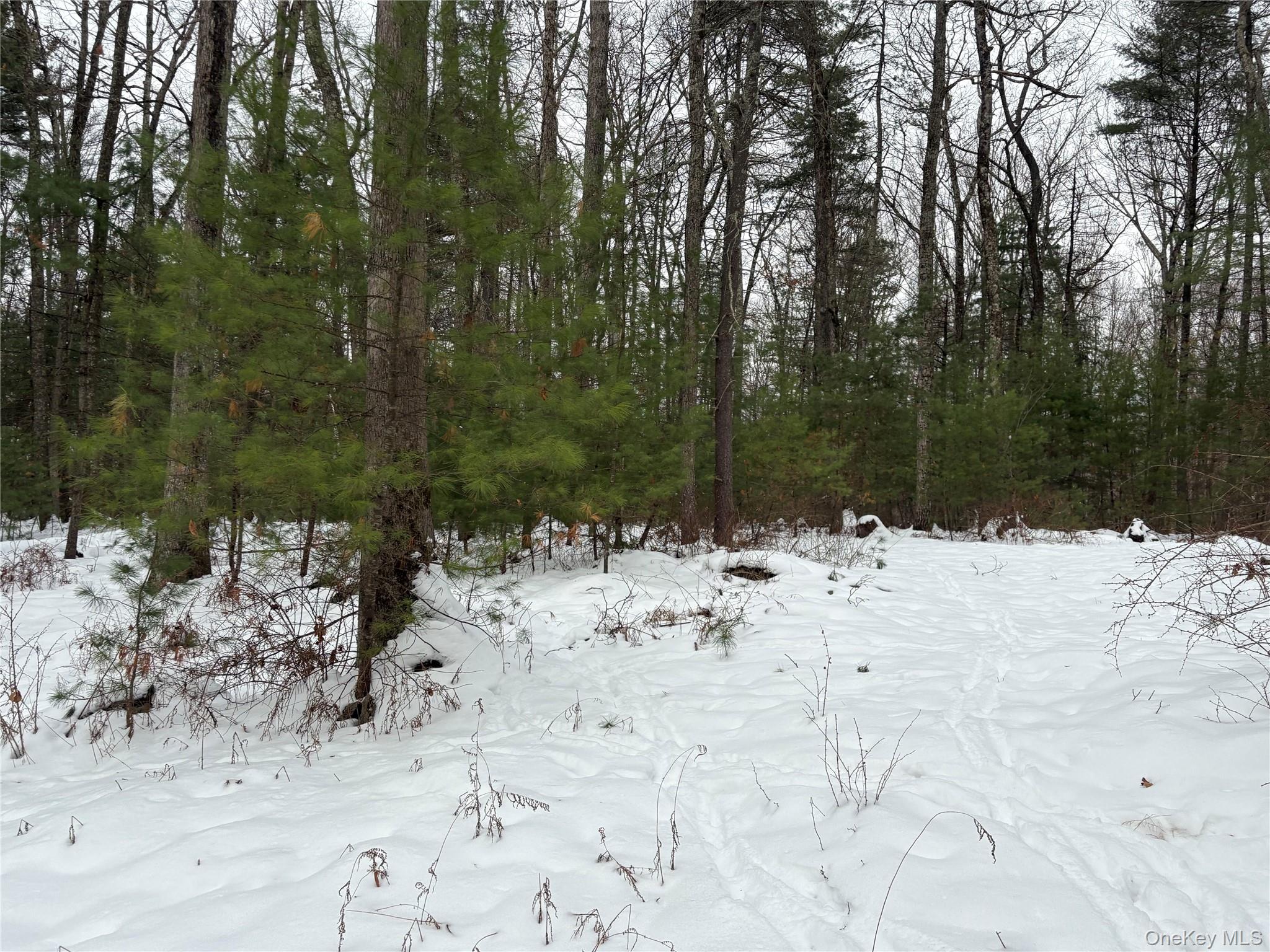 #4 photo, Stege Road, Eldred , NY 12743