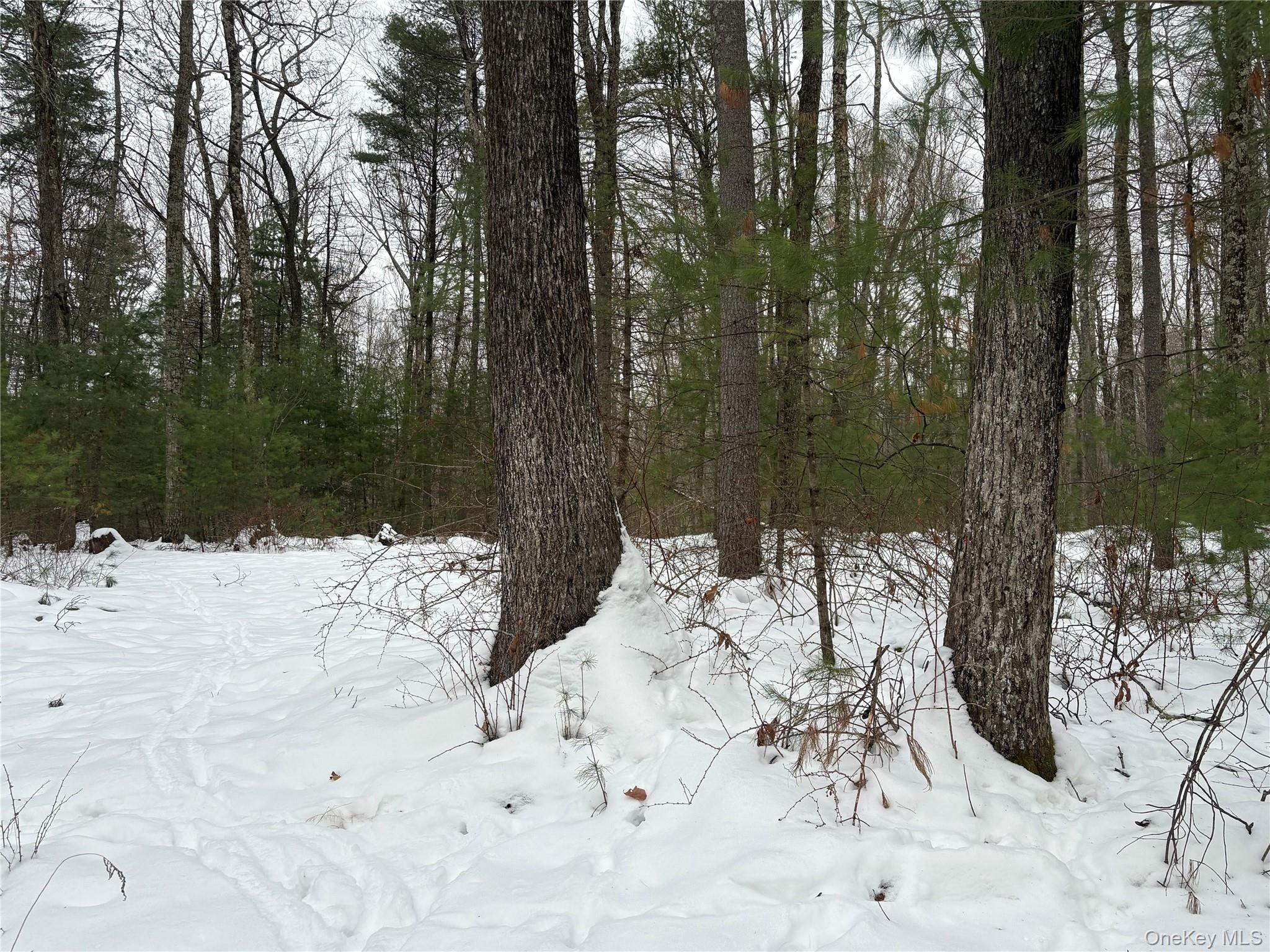 #5 photo, Stege Road, Eldred , NY 12743