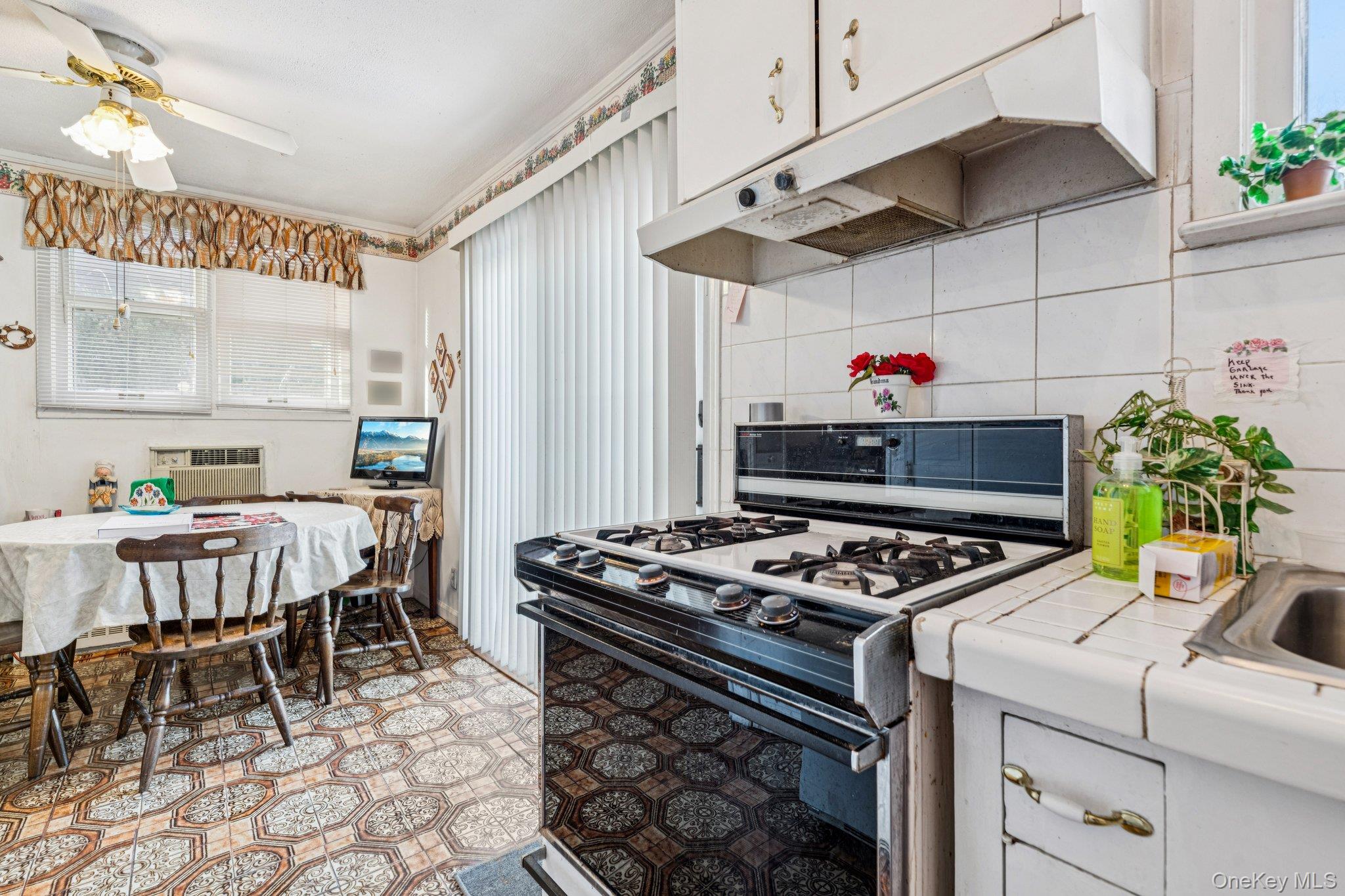 #13 photo, 189 Surrey, Lynbrook , NY 11563