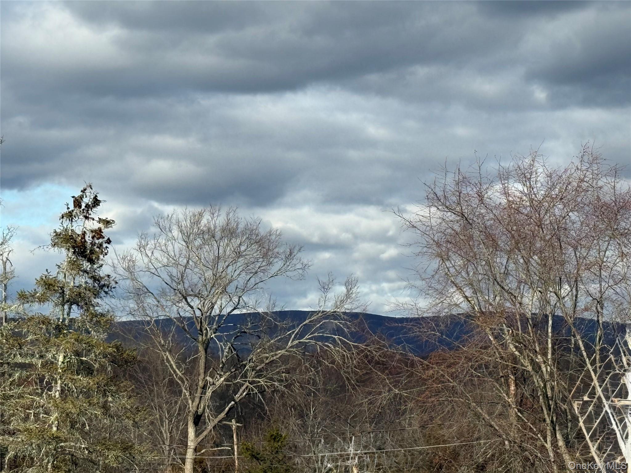 #19 photo, 326 Long Lane, Bloomingburg , NY 12721