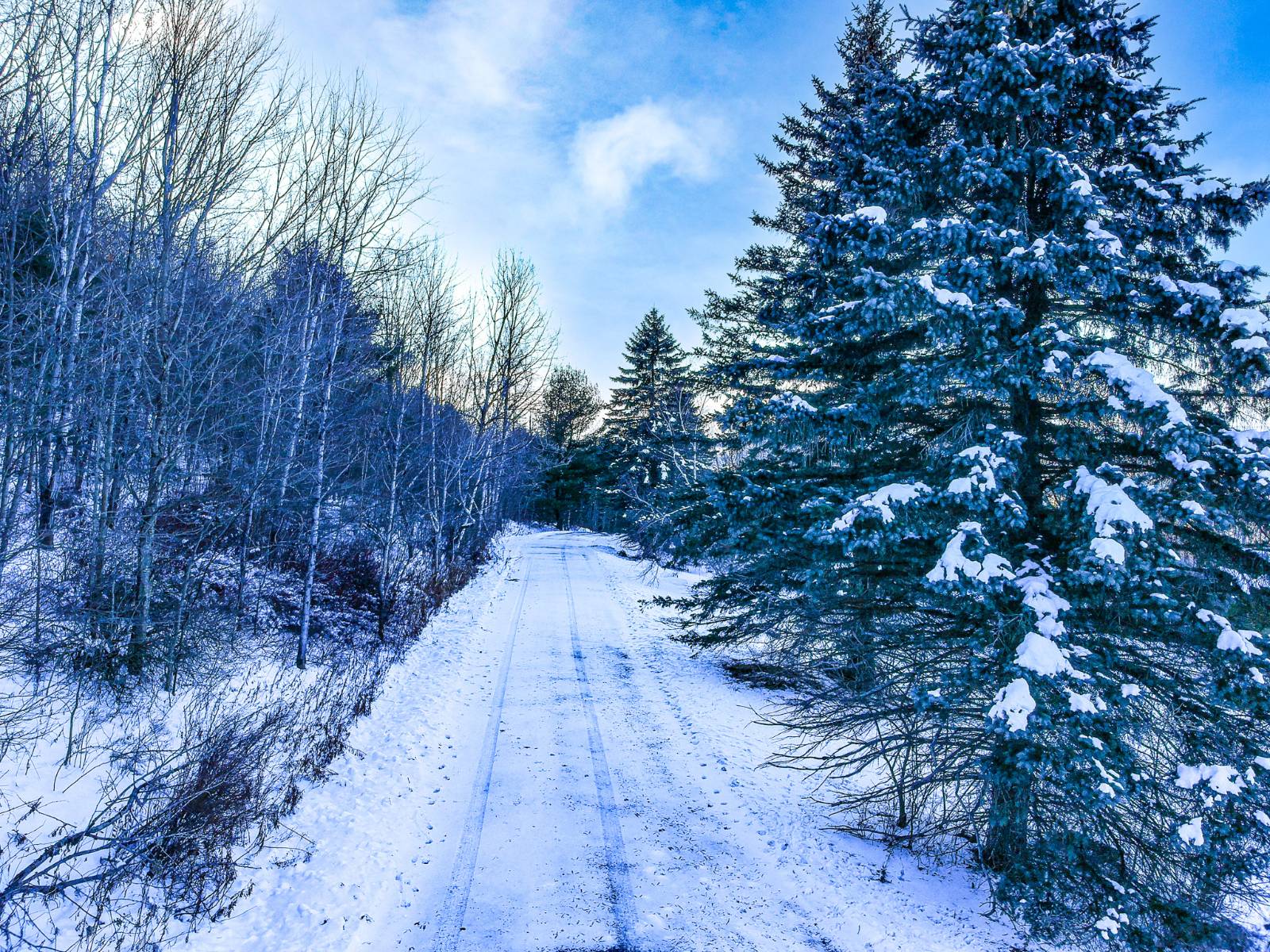 #1 photo, L44.10 Panarama Ln, Windham , NY 12496