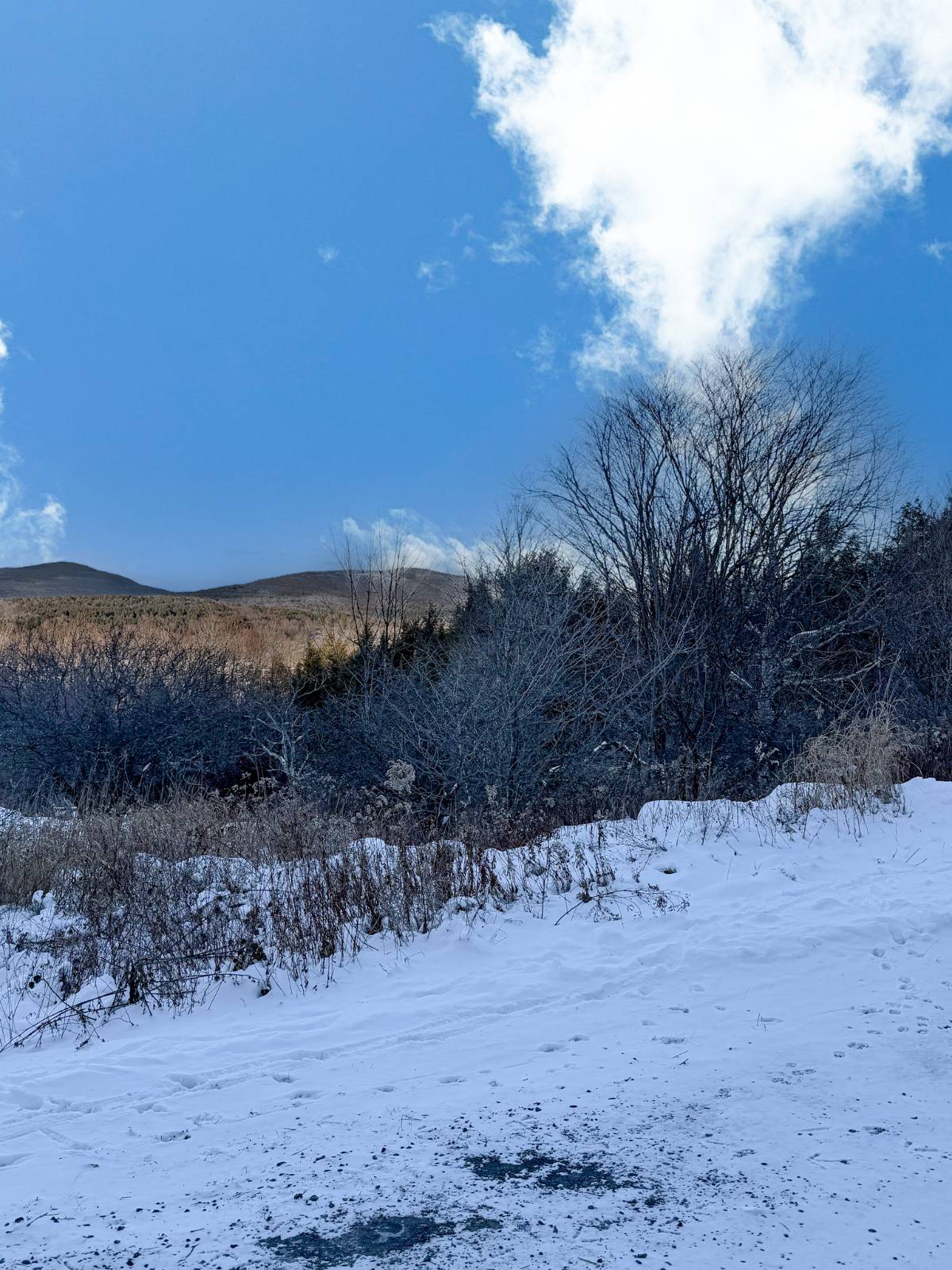 #10 photo, L44.10 Panarama Ln, Windham , NY 12496