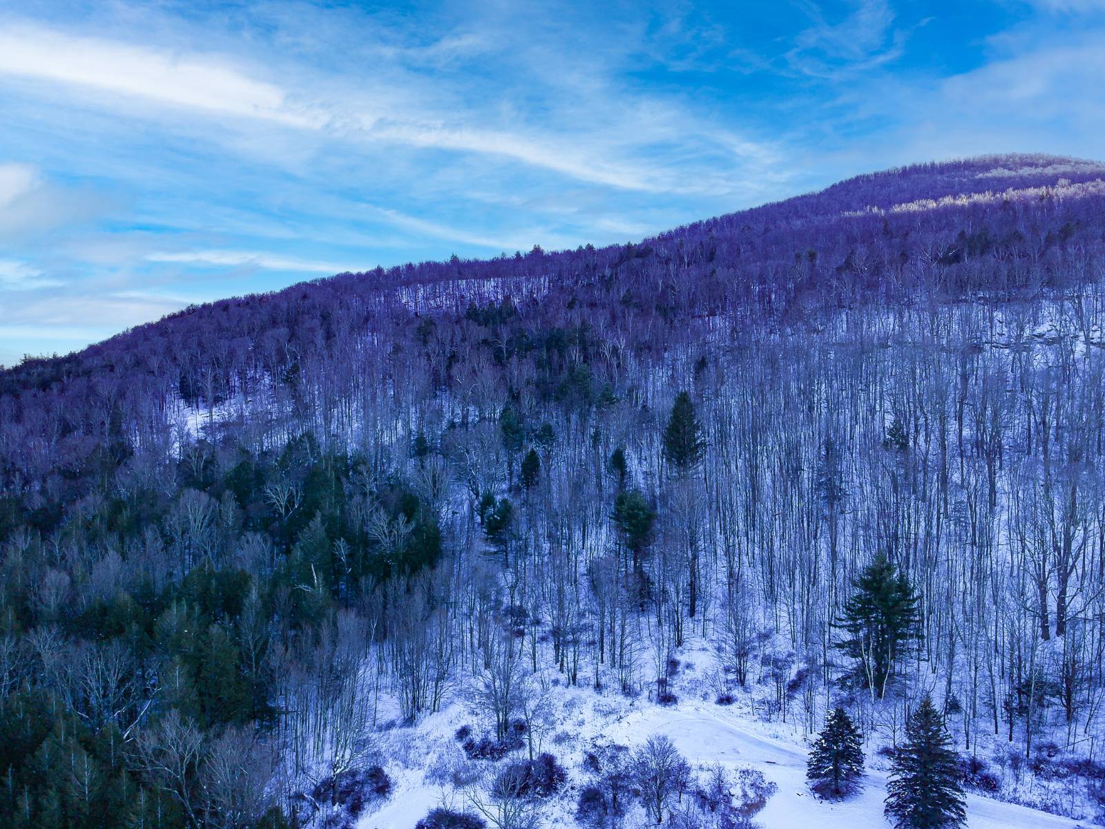 #4 photo, L44.10 Panarama Ln, Windham , NY 12496