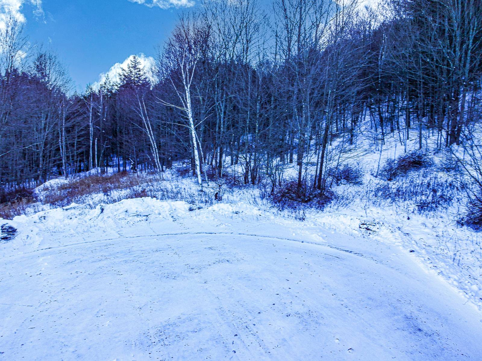 #8 photo, L44.10 Panarama Ln, Windham , NY 12496