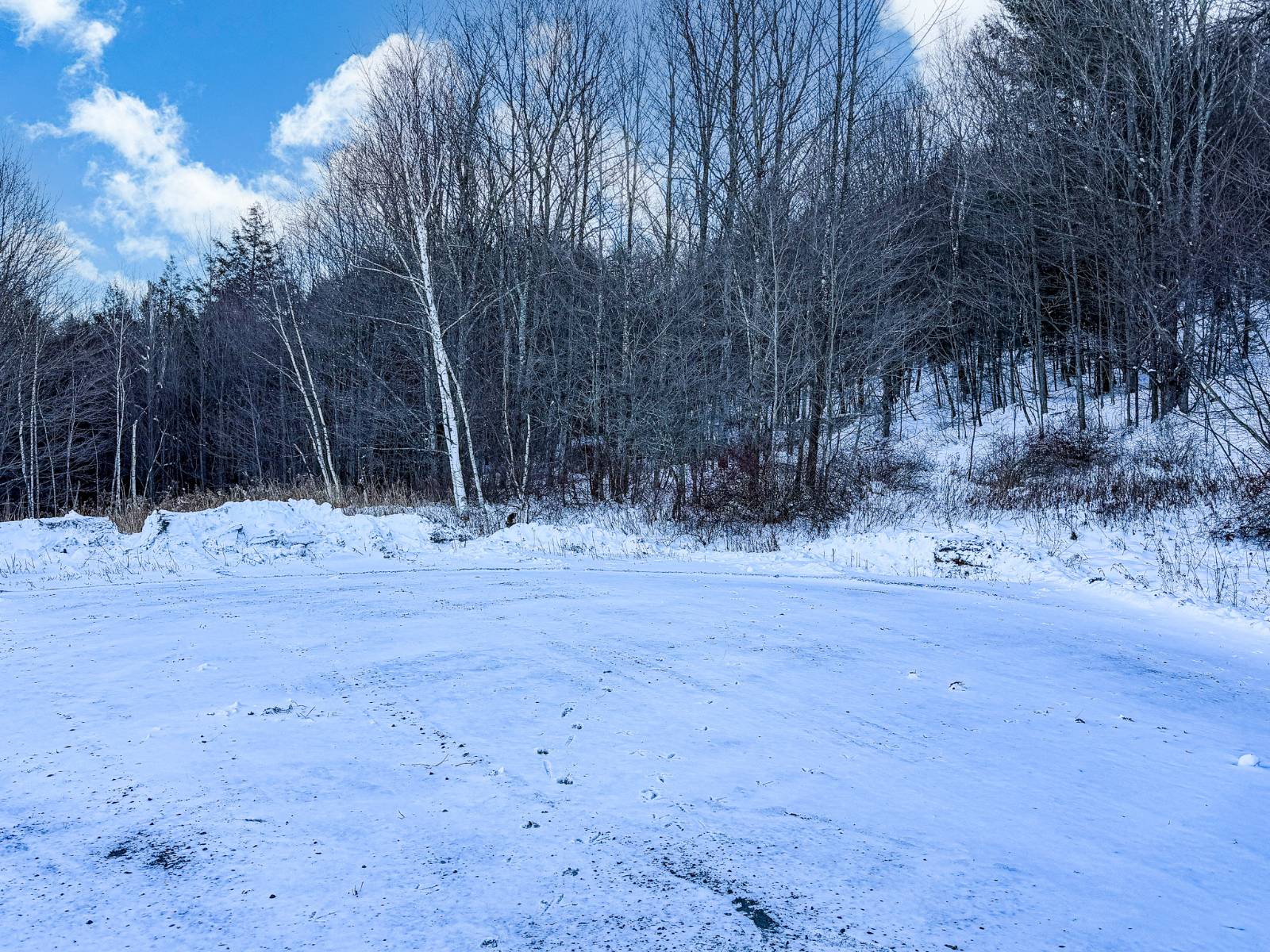 #9 photo, L44.10 Panarama Ln, Windham , NY 12496