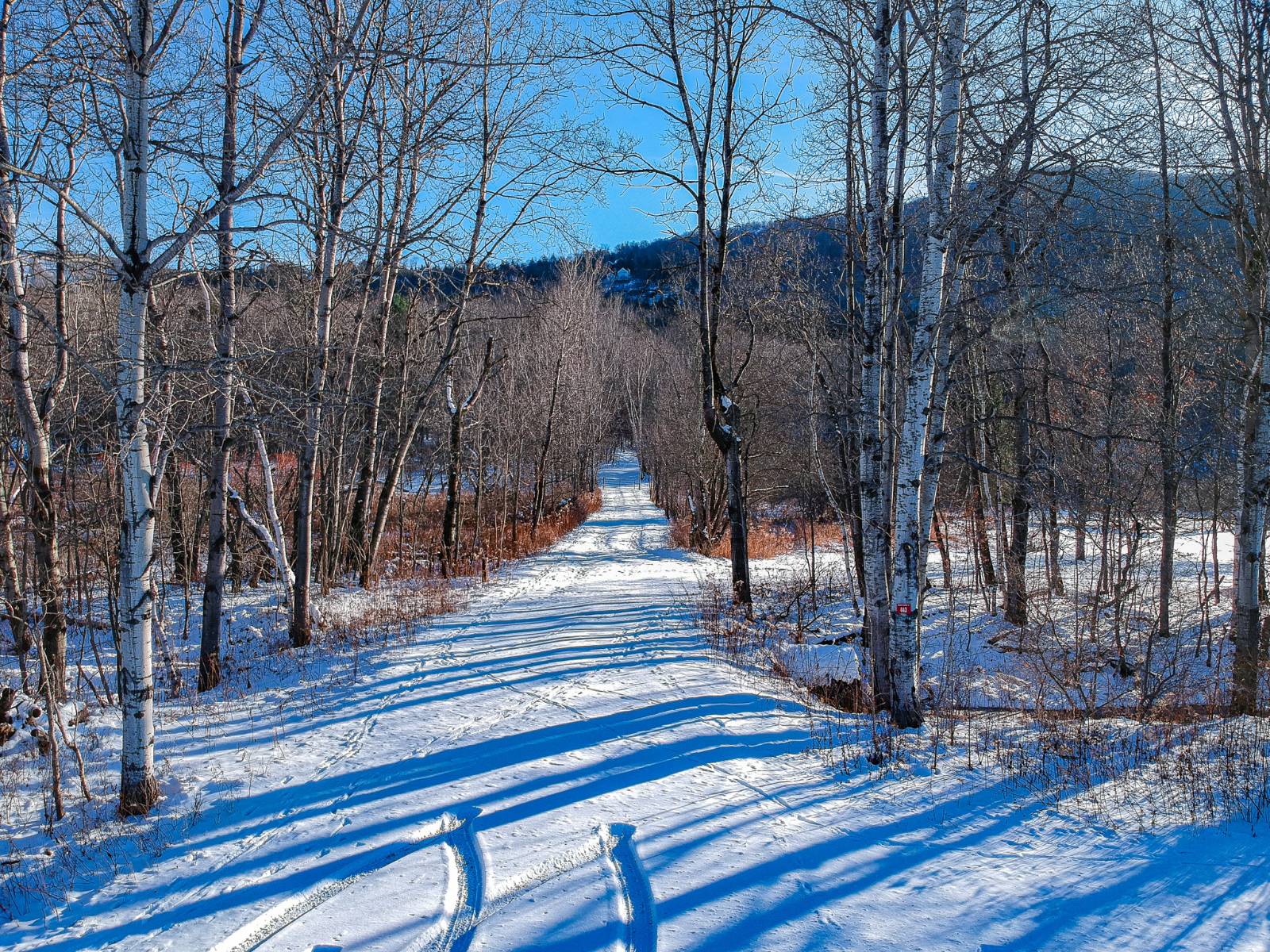 #10 photo, L19.12 South St, Windham , NY 12496