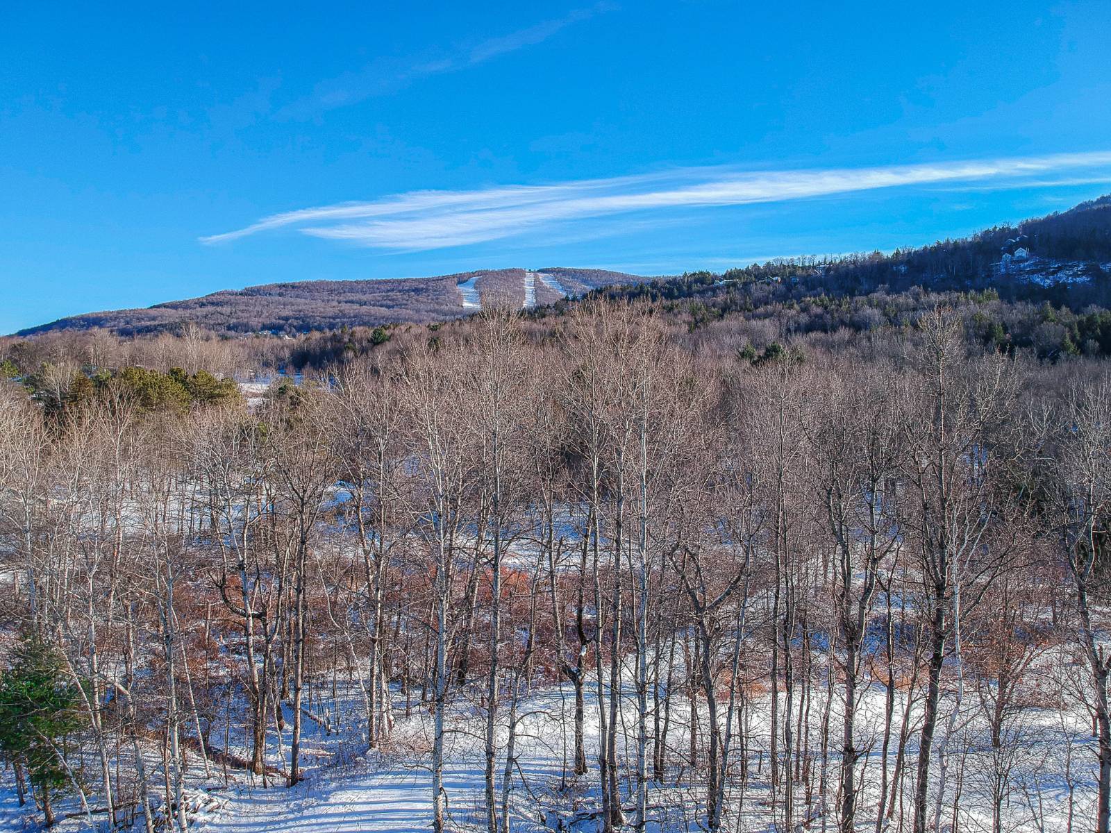 #5 photo, L19.12 South St, Windham , NY 12496