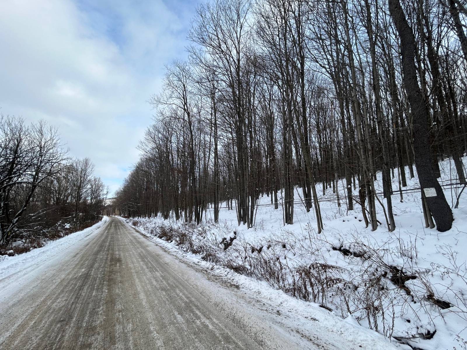 #1 photo, 00 Dietsche Road, Cherry Valley , NY 13320