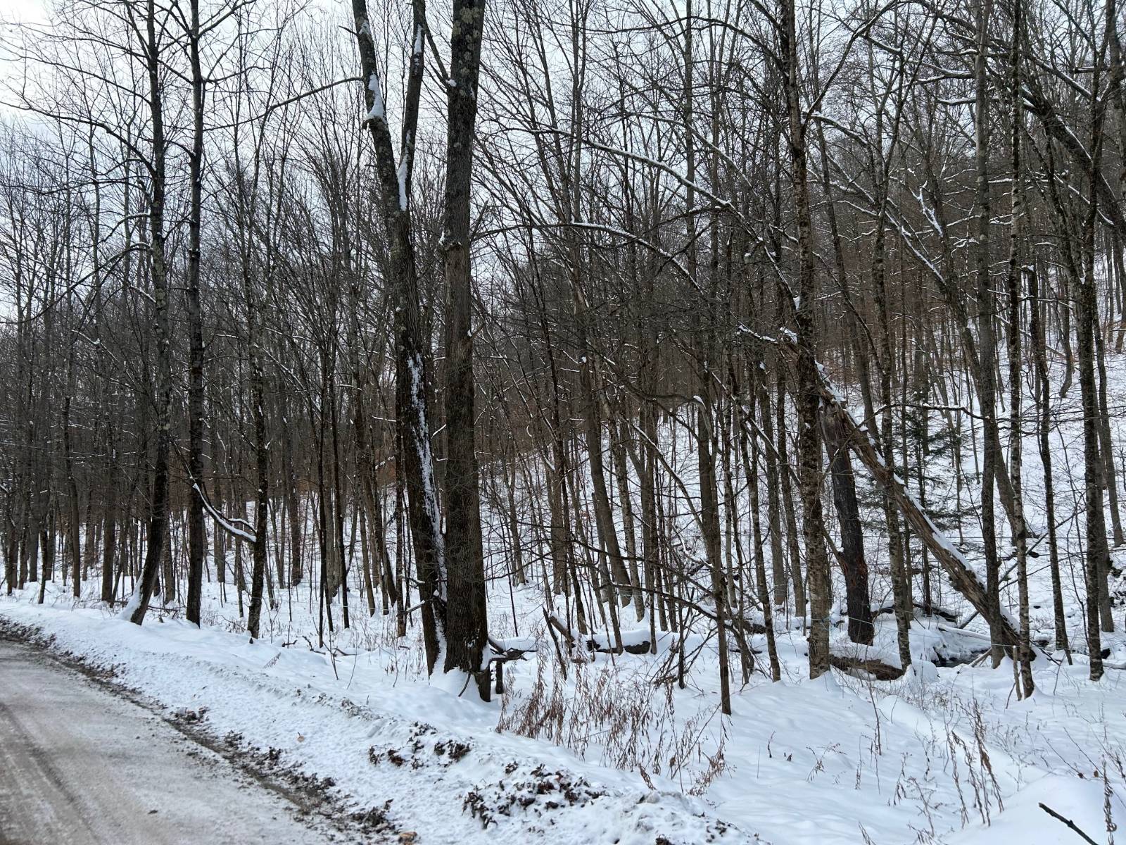 #10 photo, 00 Dietsche Road, Cherry Valley , NY 13320