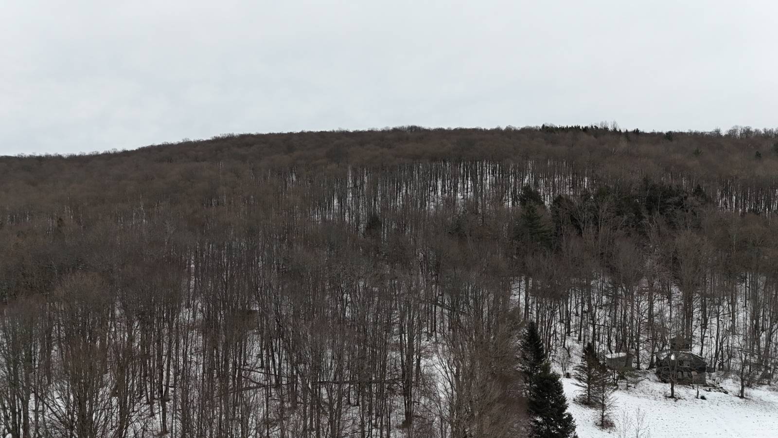 #18 photo, 00 Dietsche Road, Cherry Valley , NY 13320