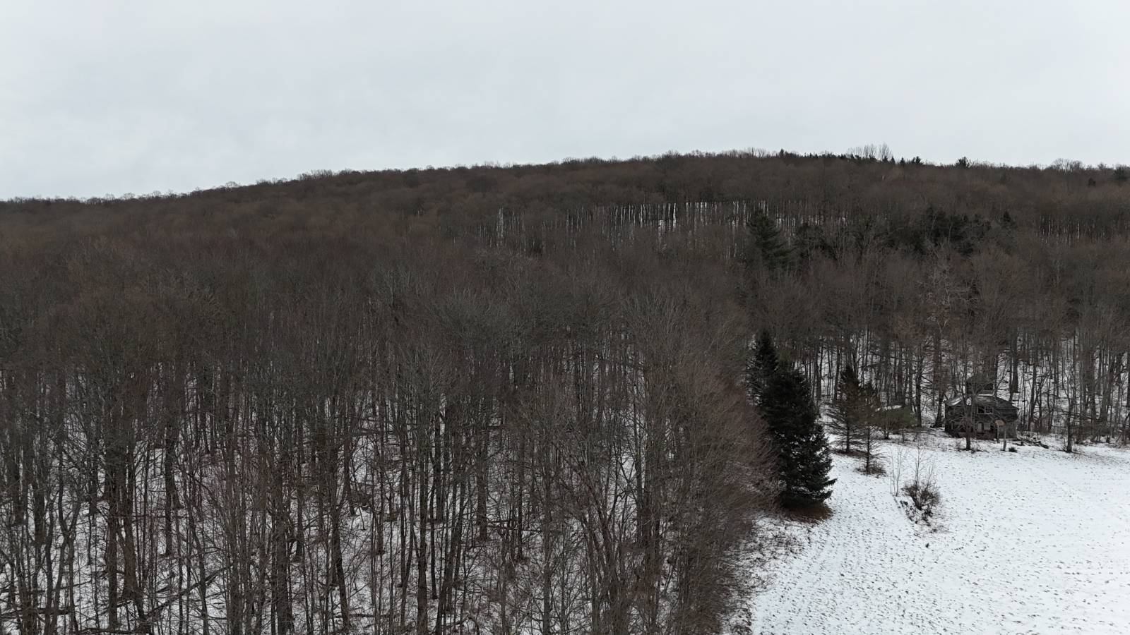 #19 photo, 00 Dietsche Road, Cherry Valley , NY 13320