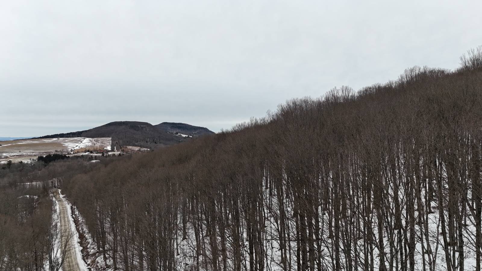 #20 photo, 00 Dietsche Road, Cherry Valley , NY 13320