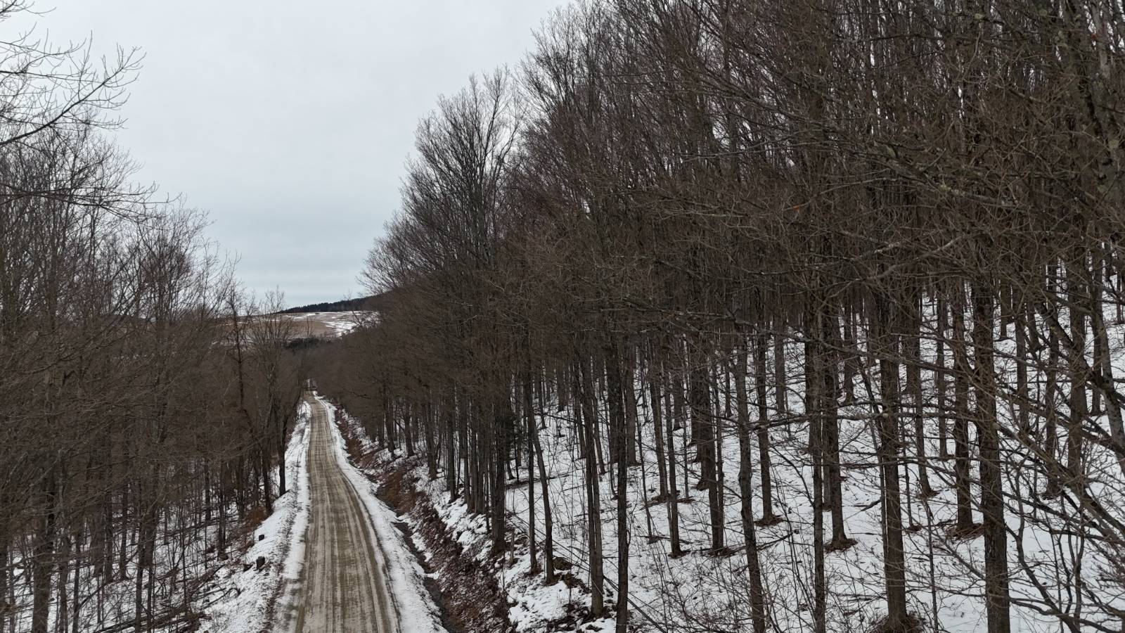 #21 photo, 00 Dietsche Road, Cherry Valley , NY 13320