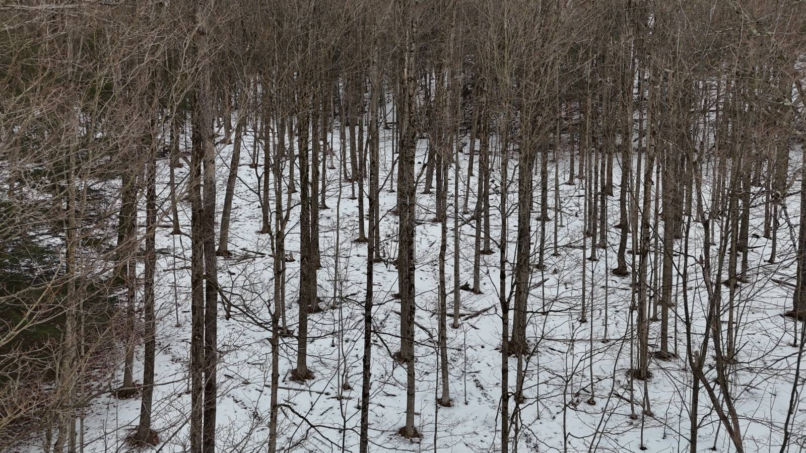 #23 photo, 00 Dietsche Road, Cherry Valley , NY 13320